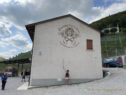 Pietrovecchio winery