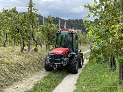 September harvest season