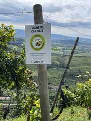 Vigneto Cartizze