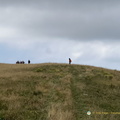 IMG 0305-watermarked (676 ביקורים) IMG 0305-watermarked