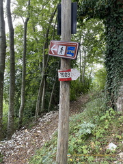 1009 Hiking path