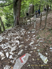 The famous red and white waymarkers