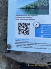 Coast and vegetation QR code