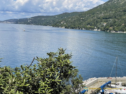 Gulf of Trieste