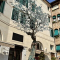 Asolo art (918 بازدید) Sculptures around Asolo city centre Asolo art