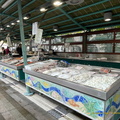 IMG 8292-watermarked (762访问量) IMG 8292-watermarked