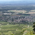 IMG_0414-watermarked1.jpg