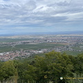 IMG 0417-watermarked1