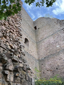IMG 0384-watermarked