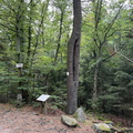 IMG_0392-watermarked.jpg