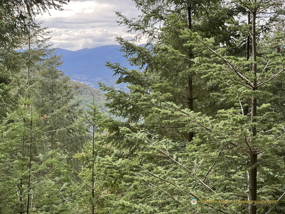 IMG 0404-watermarked (638 visits) IMG 0404-watermarked