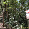 IMG 0324-watermarked (885访问量) IMG 0324-watermarked