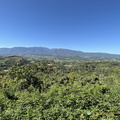 IMG 0341-watermarked (795 visits) IMG 0341-watermarked