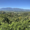 IMG 5603-watermarked (806 بازدید) IMG 5603-watermarked