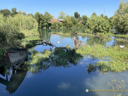 Tranquil River Sile 