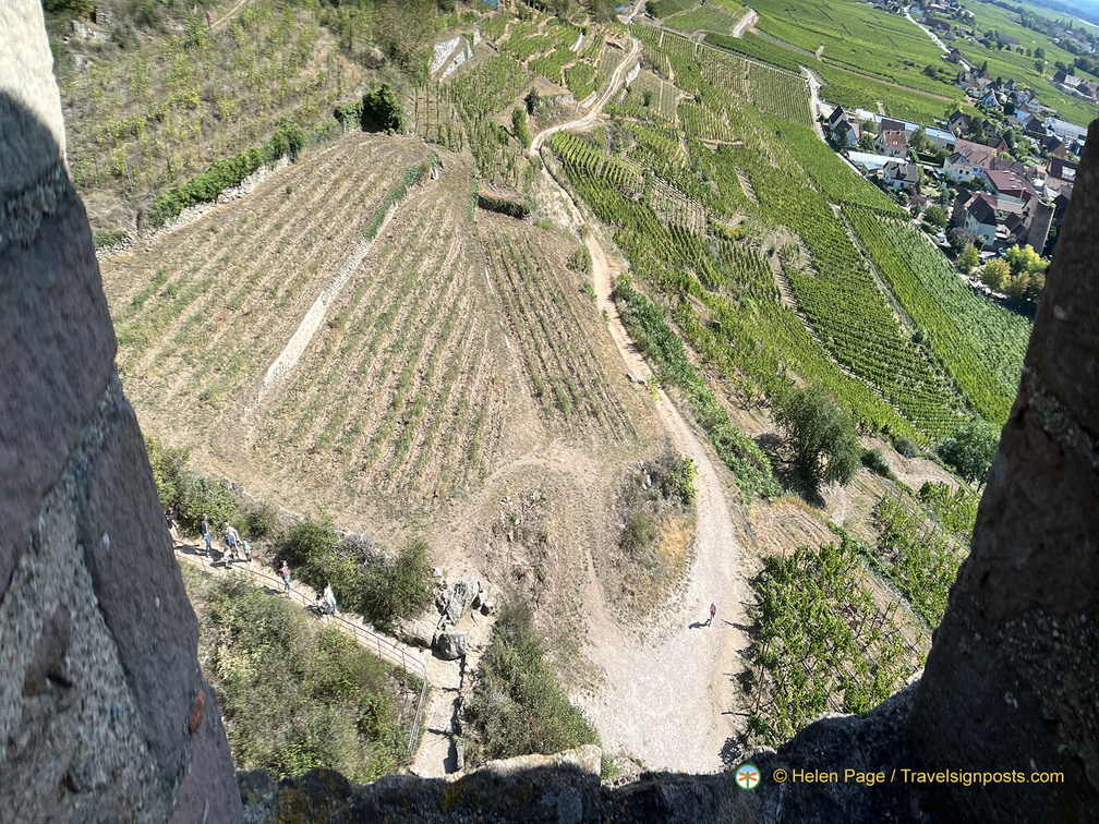 IMG 5811-watermarked (867 visingar) IMG 5811-watermarked