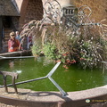 IMG 0498-watermarked 133 (587 odwiedzin) IMG 0498-watermarked 133