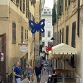 IMG_3133-watermarked.jpg