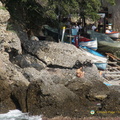DSC00027-watermarked (667 visits) DSC00027-watermarked