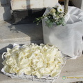 DSC00038-watermarked (653 visits) DSC00038-watermarked