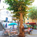 Corniglia_AJP_5361-watermarked.jpg