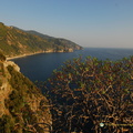 Corniglia_AJP_5369-watermarked.jpg
