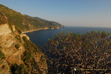 Corniglia AJP 5369-watermarked