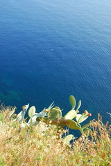 Corniglia AJP 5374-watermarked