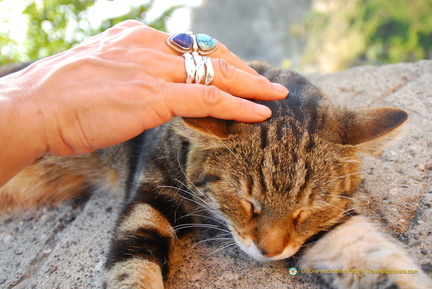 Corniglia AJP 5376-watermarked