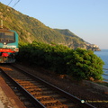 Corniglia AJP 5390-watermarked (660 visits) Corniglia AJP 5390-watermarked