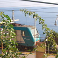 Corniglia_DSC_8383-watermarked.jpg