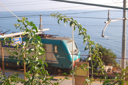 Corniglia DSC 8383-watermarked