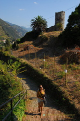 Monterosso AJP 5495-watermarked