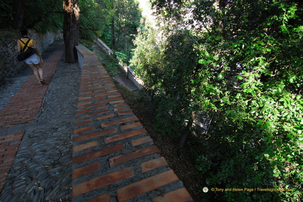 Monterosso AJP 5516-watermarked