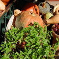 Monterosso_DSC_8488-watermarked.jpg