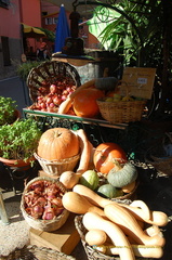 Monterosso DSC 8492-watermarked