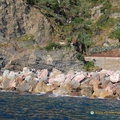 DSC_8509-watermarked.jpg