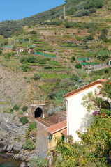 Vernazza DSC 8145-watermarked