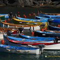 Vernazza AJP 5414-watermarked (806 visits) Vernazza AJP 5414-watermarked