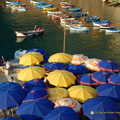 Vernazza DSC 8552-watermarked (733 visits) Vernazza DSC 8552-watermarked