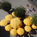 Vernazza DSC 8560-watermarked (804 gweladenn) Vernazza DSC 8560-watermarked