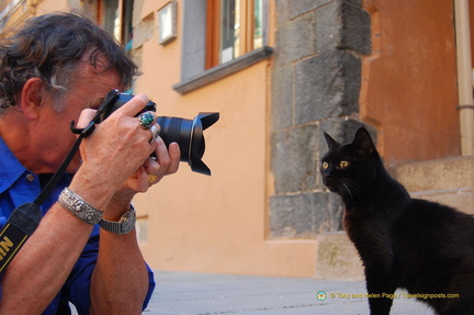 Vernazza DSC 8663-watermarked