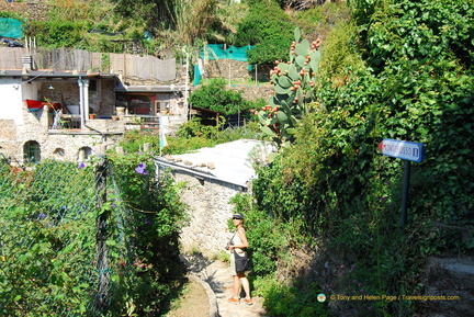 Vernazza-Monterosso AJP 5646-watermarked