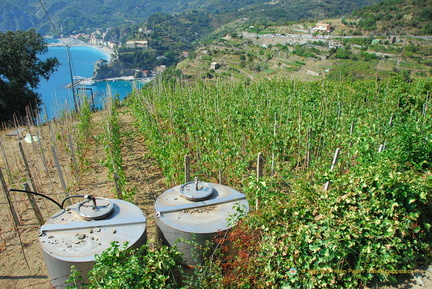 Vernazza-Monterosso AJP 5683-watermarked