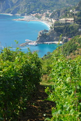 Vernazza-Monterosso AJP 5684-watermarked