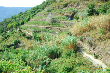 Vernazza-Monterosso AJP 5691-watermarked