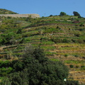 Vernazza-Monterosso_AJP_5698-watermarked.jpg
