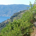 Vernazza-Monterosso_DSC_8584-watermarked.jpg