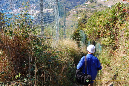 Vernazza-Monterosso DSC 8597-watermarked