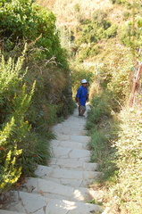 Vernazza-Monterosso DSC 8599-watermarked